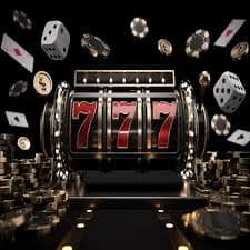 app 7 ক্রিকেট ফিচার কার্ড বিন্যাস